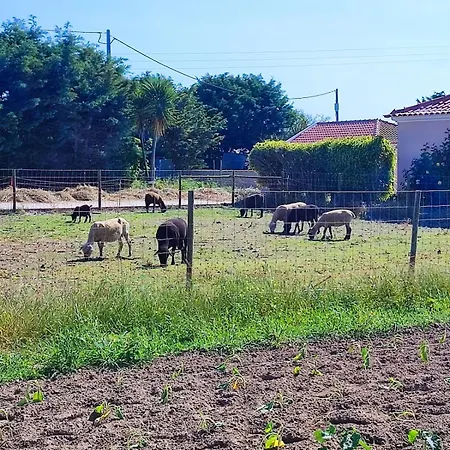 Granja בית נופש *
